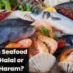 Is Seafood Halal or Haram?
