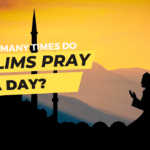 How many times do Muslims pray a day