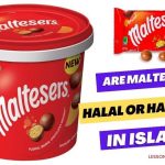 Are Maltesers Halal or Haram in Islam