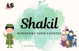 Shakil Name Meaning