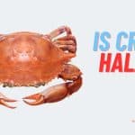Is Crab Halal