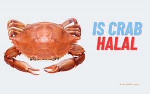 Is Crab Halal