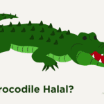 Is Crocodile Halal or Haram in Islam