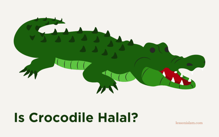 Is Crocodile Halal or Haram in Islam