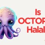 Is Octopus Halal or Haram?