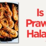 Is Prawns Halal in Islam