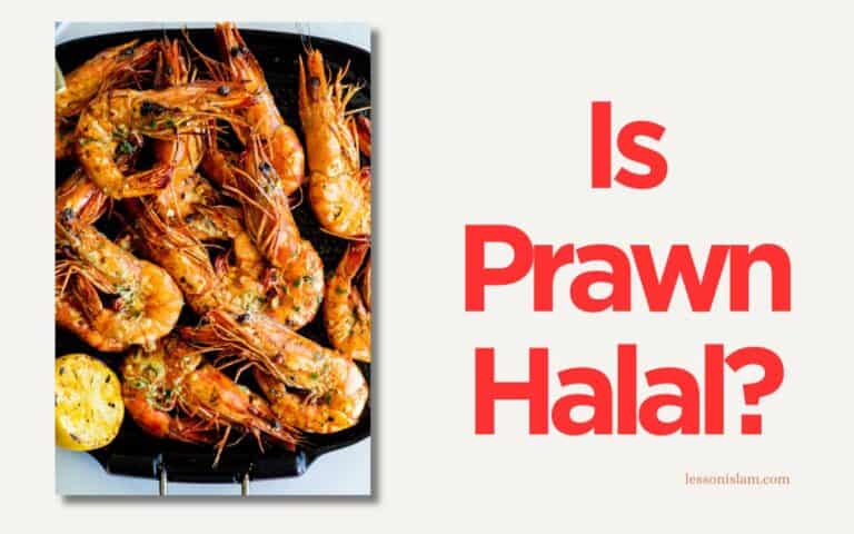 Is Prawns Halal in Islam