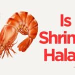 Is Shrimp Halal or Haram?
