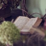 Quran reading for spiritual growth