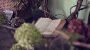 Quran reading for spiritual growth