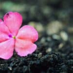 Salah for spiritual growth