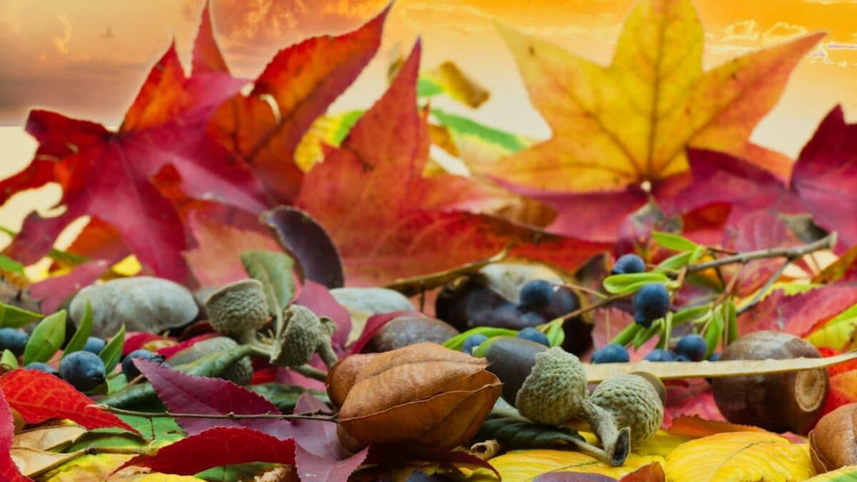 Duas for gratitude and thankfulness