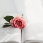 Quran memorization schedule for beginners