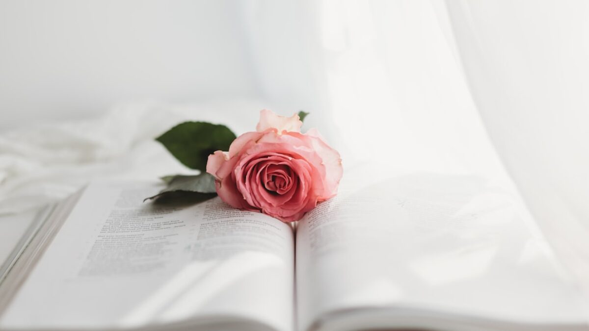 Quran memorization schedule for beginners