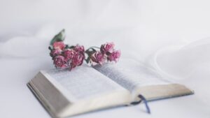 How to recite Quran beautifully