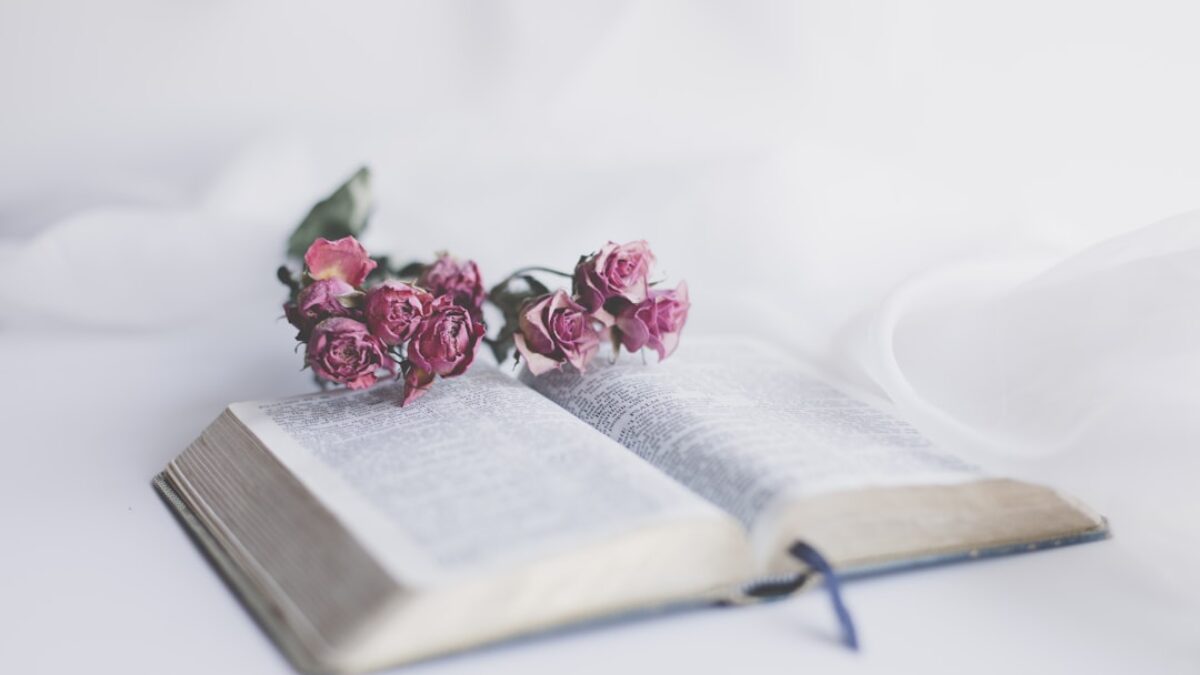 How to recite Quran beautifully