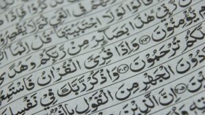 Quran translation for new Muslims