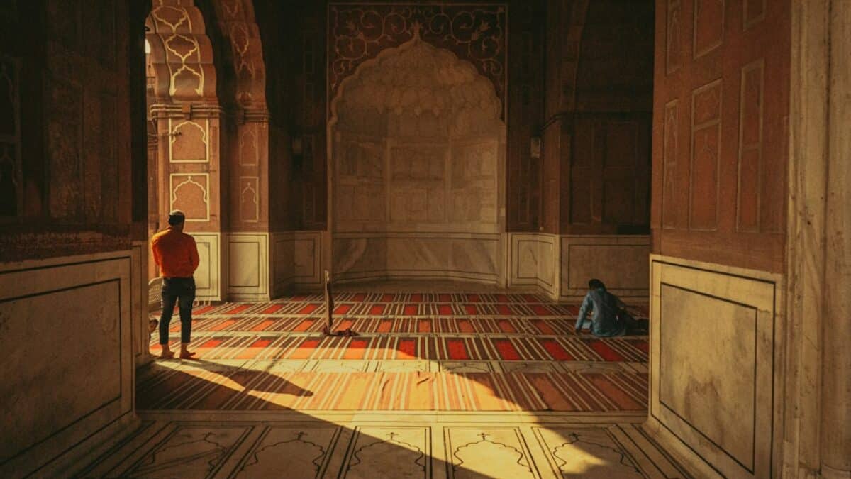 Quran study groups for beginners
